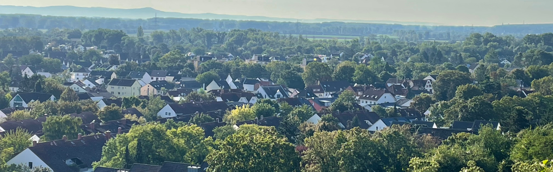 Landschaft